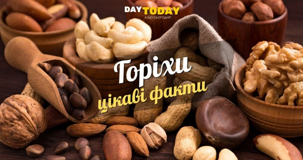 Цікаві факти про горіхи