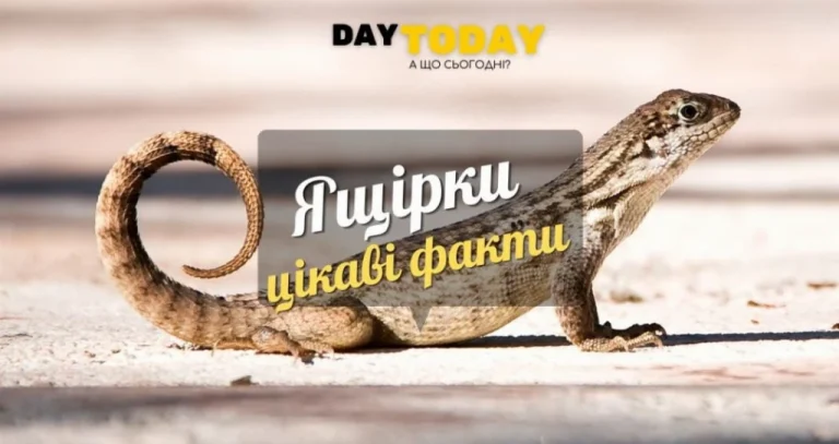 Цікаві факти про ящірок