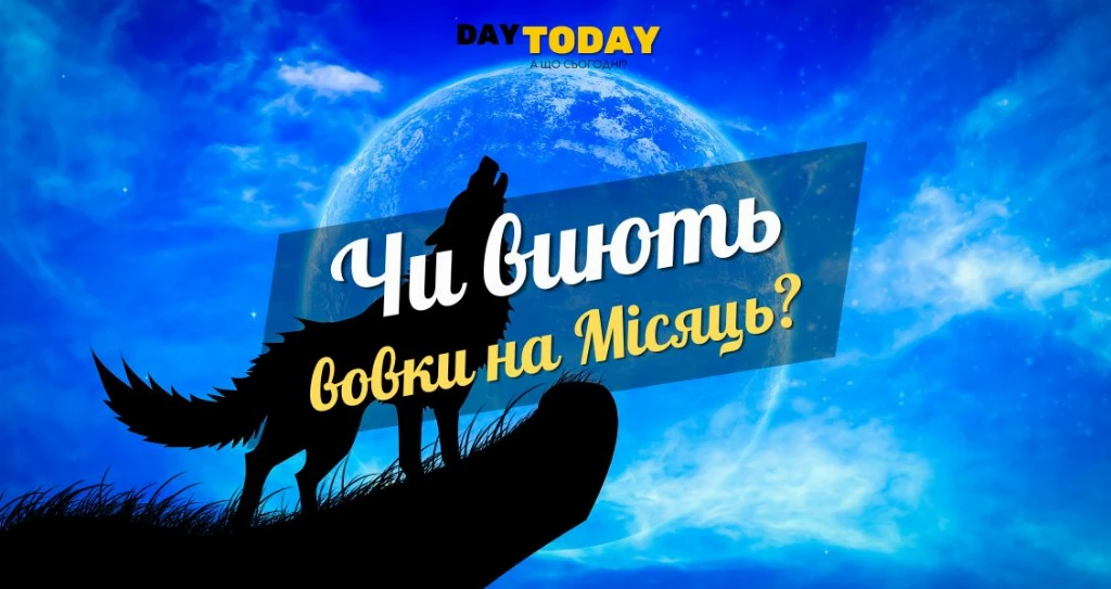 Чи виють вовки на місяць? Чи виють вовки на місяць?