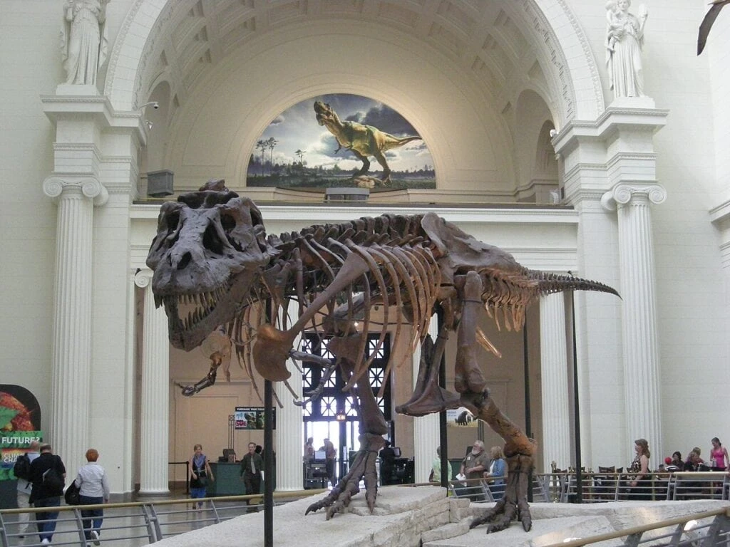 1280px Field Museum August 2010 1 Sue 1280px Field Museum August 2010 1 Sue